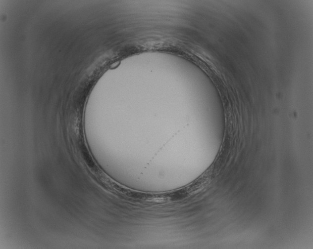 X0000071780499200606300920