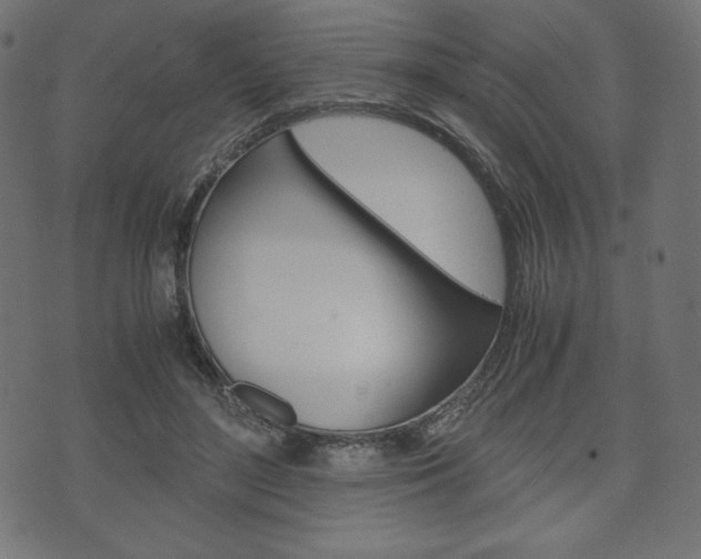 X0000071780500200606300920