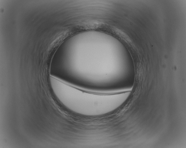 X0000071780501200606300920