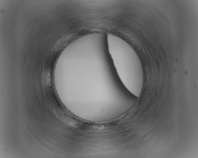 X0000071780502200606300920