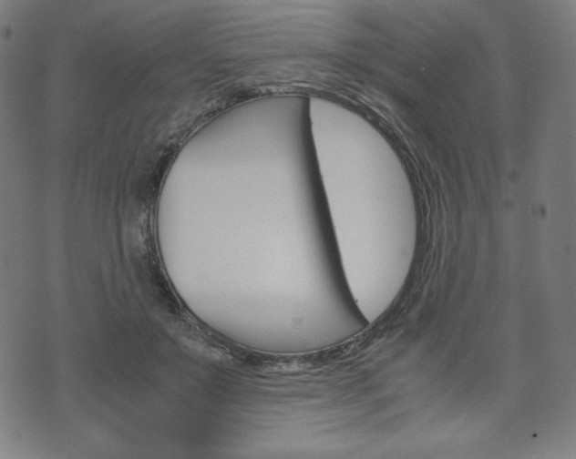 X0000071780503200606300920