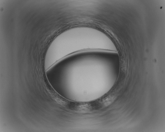 X0000071780505200606300920