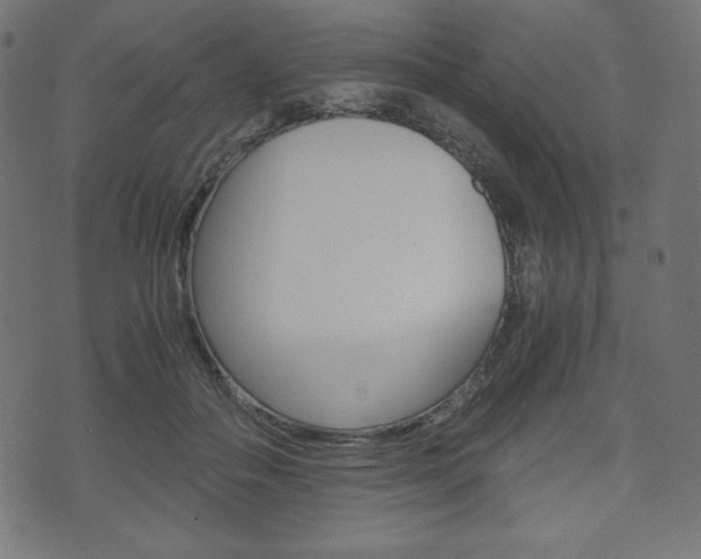 X0000071780506200606300920