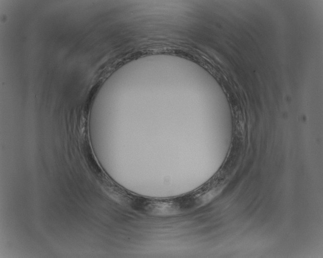 X0000071780507200606300920