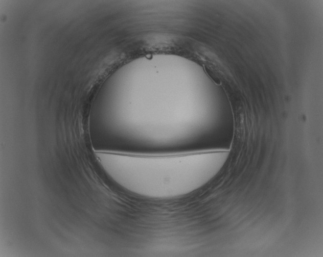 X0000071780508200606300920