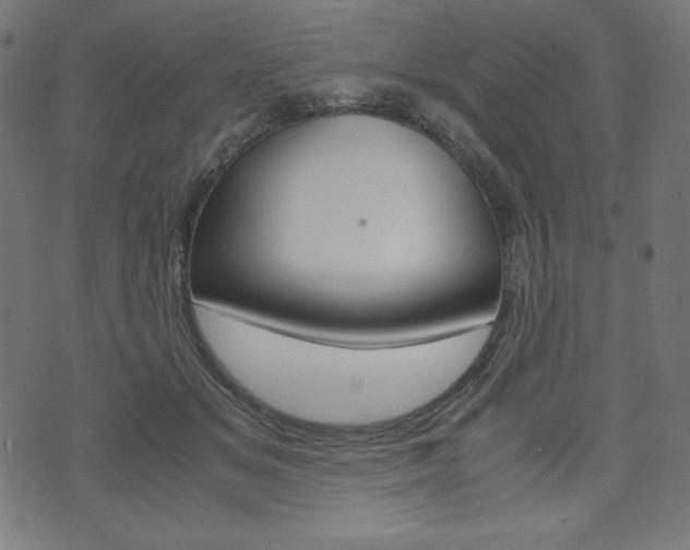 X0000071780509200606300920