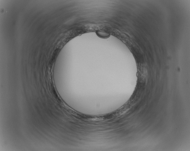 X0000071780511200606300920