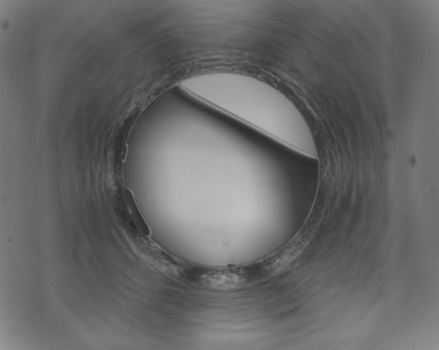 X0000071780512200606300920