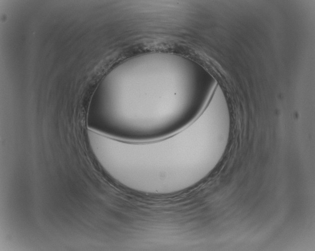 X0000071780513200606300920