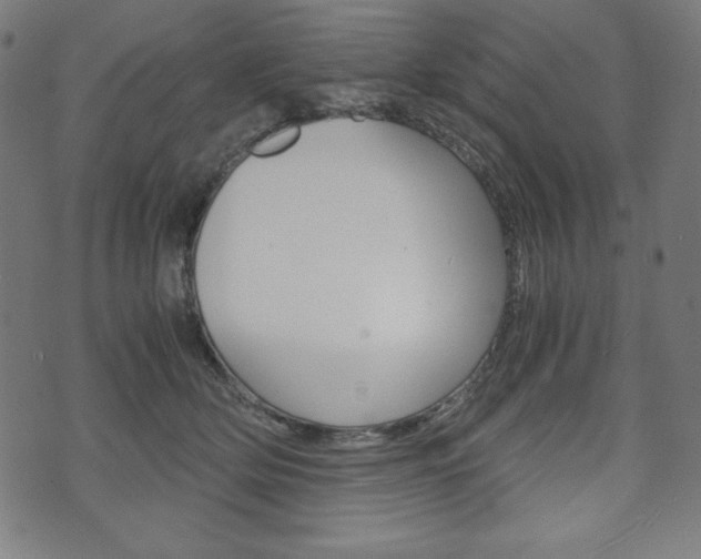 X0000071780514200606300920