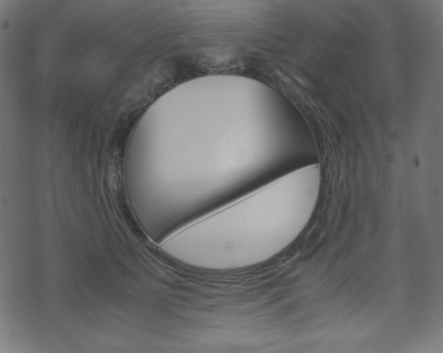 X0000071780515200606300920