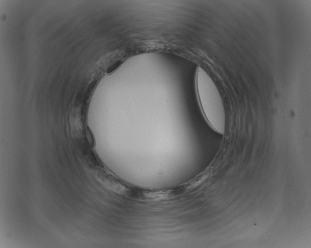 X0000071780516200606300920