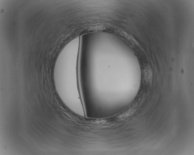 X0000071780517200606300920