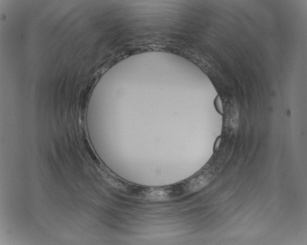 X0000071780518200606300920