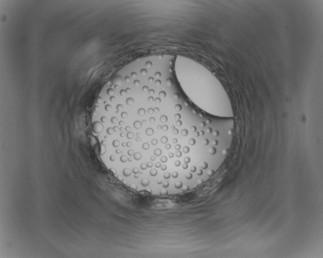 X0000071780519200606300920