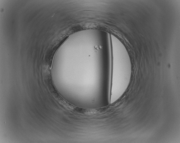 X0000071780521200606300920