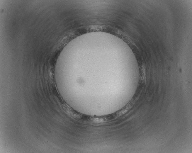 X0000071780522200606300920