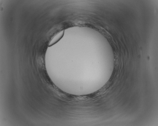 X0000071780523200606300920