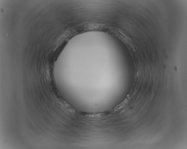 X0000071780524200606300920