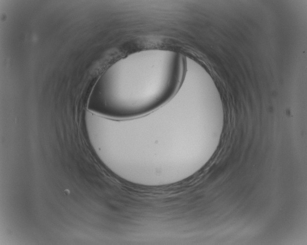 X0000071780525200606300920