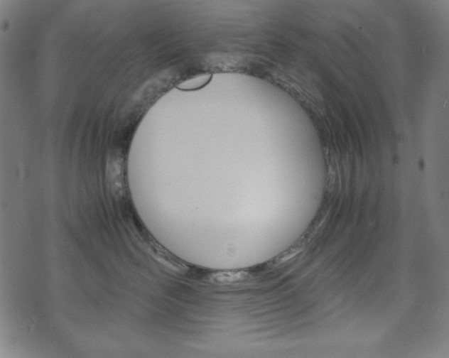 X0000071780526200606300920