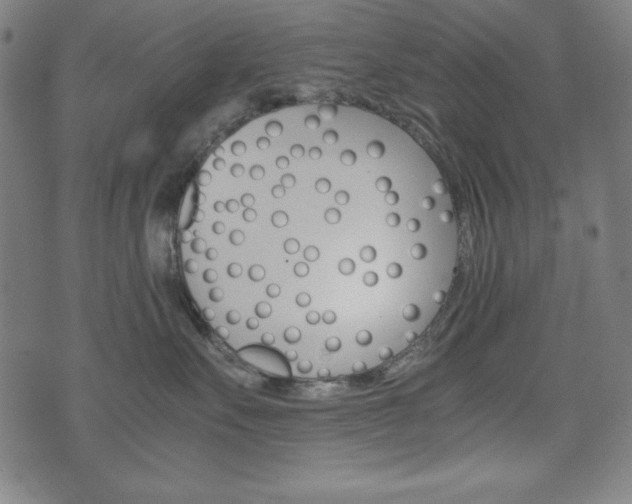 X0000071780527200606300920