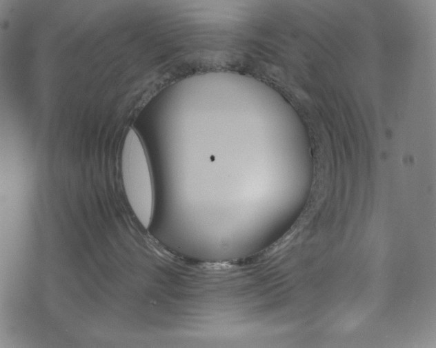 X0000071780528200606300920