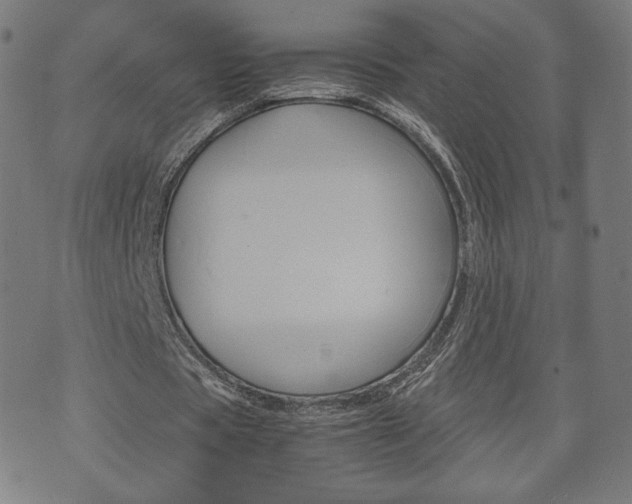 X0000071780529200606300919