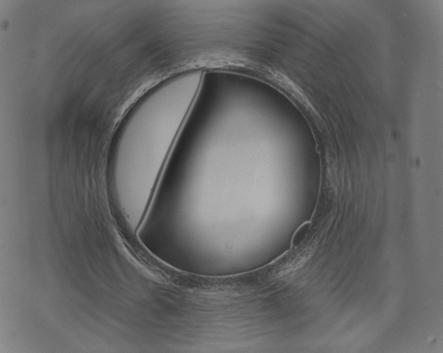 X0000071780530200606300919