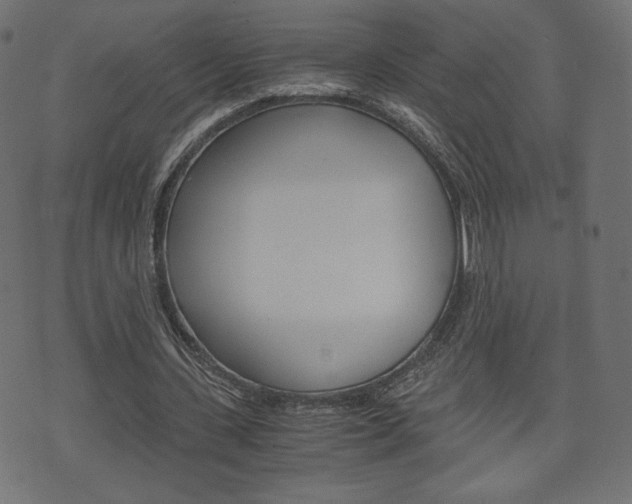 X0000071780531200606300919