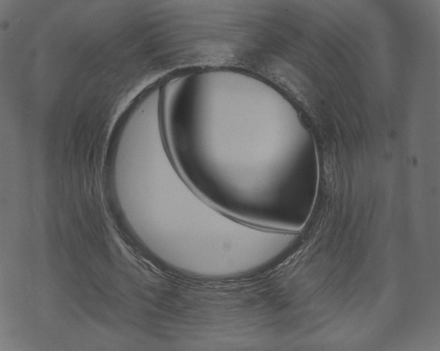 X0000071780532200606300919