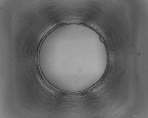 X0000071780533200606300919