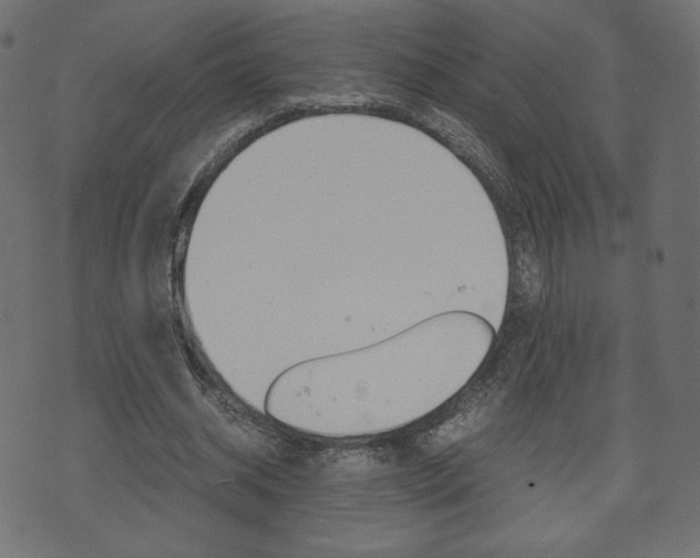 X0000071780534200606300919