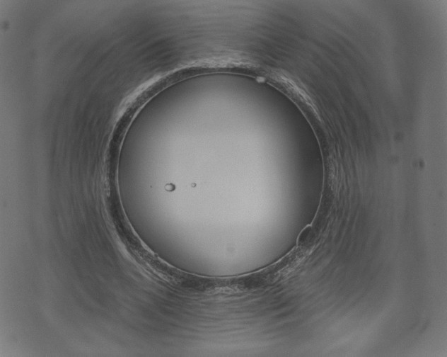 X0000071780536200606300919