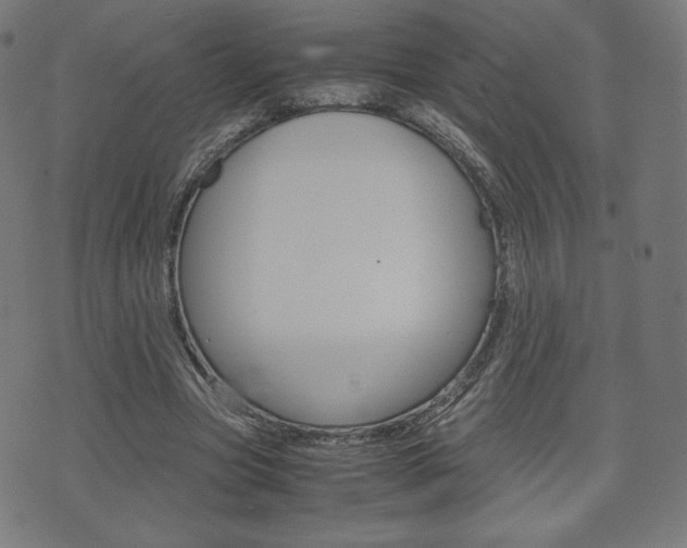 X0000071780537200606300919