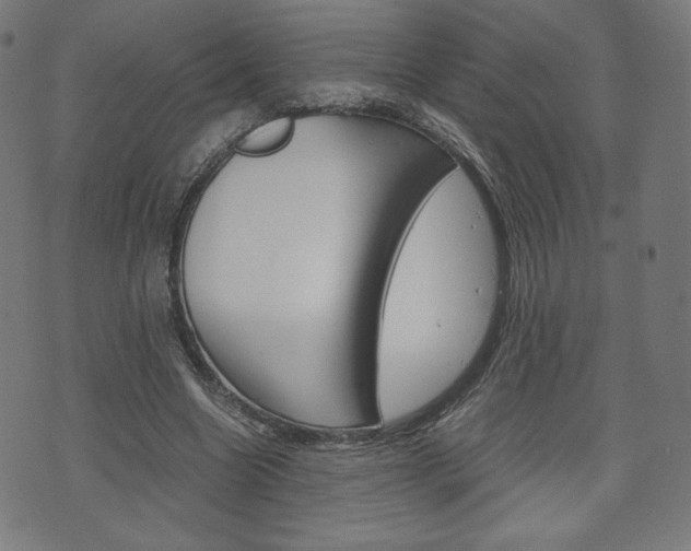 X0000071780538200606300919