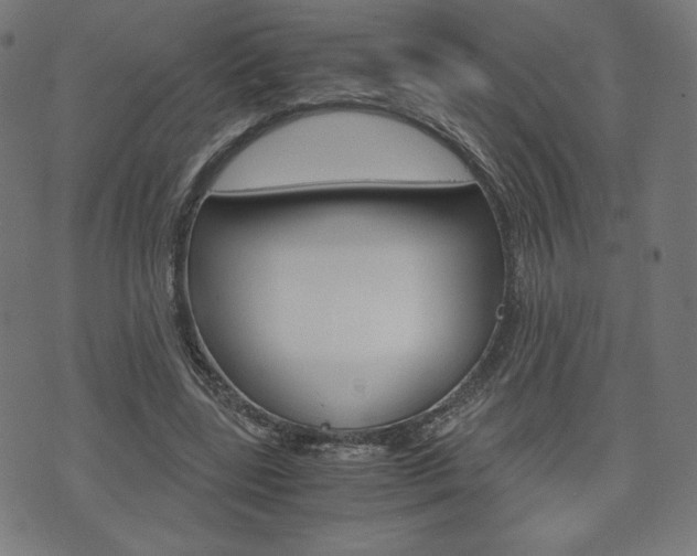 X0000071780539200606300919