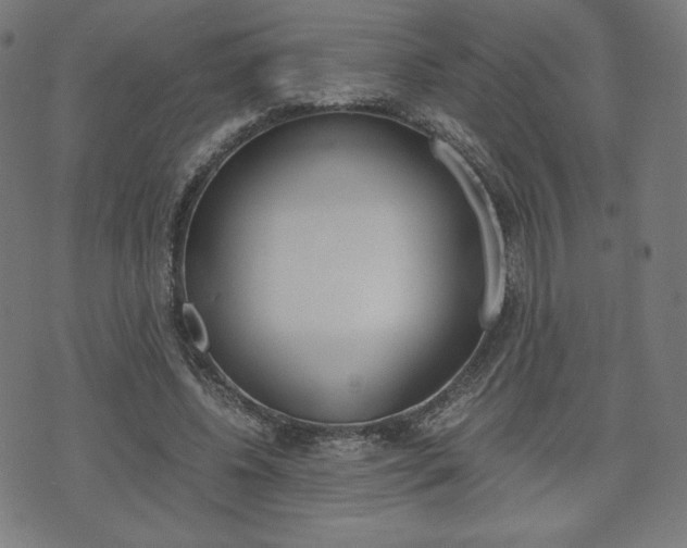 X0000071780540200606300919