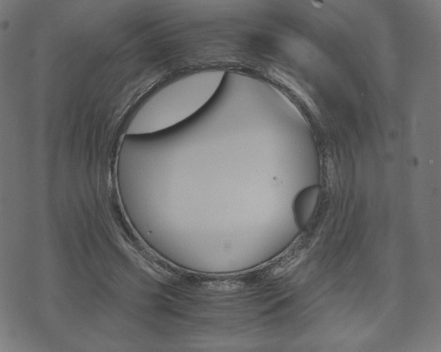 X0000071780541200606300919