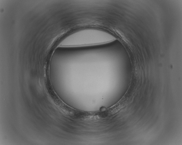 X0000071780543200606300919