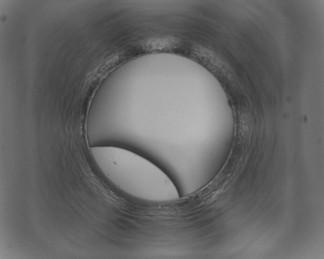 X0000071780545200606300919