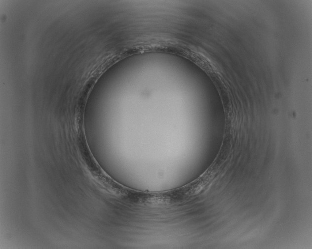 X0000071780546200606300919