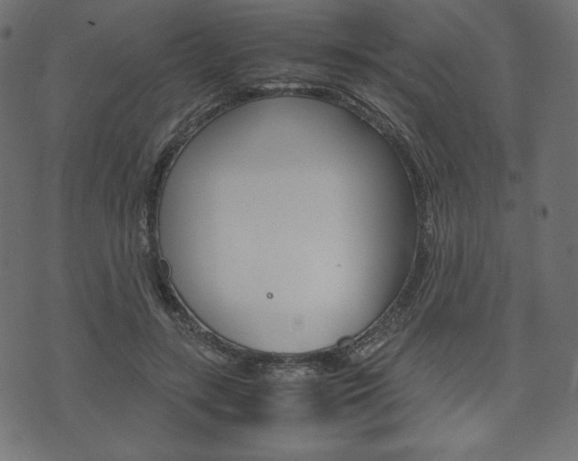 X0000071780547200606300919