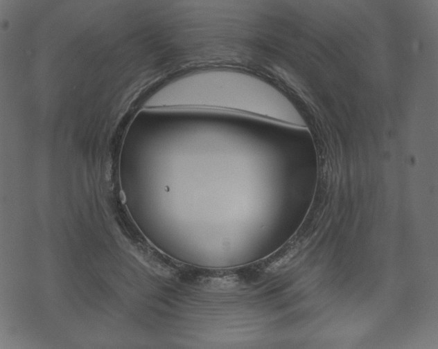 X0000071780548200606300919