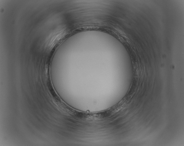 X0000071780550200606300919