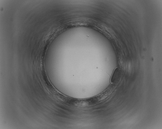 X0000071780551200606300919