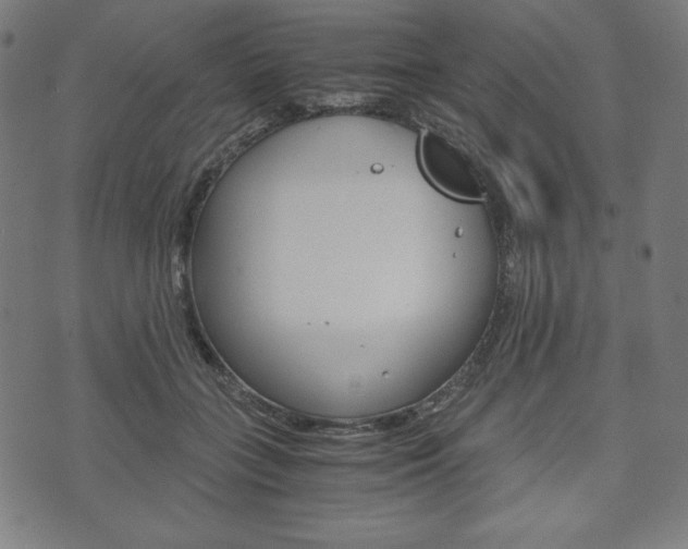 X0000071780555200606300920