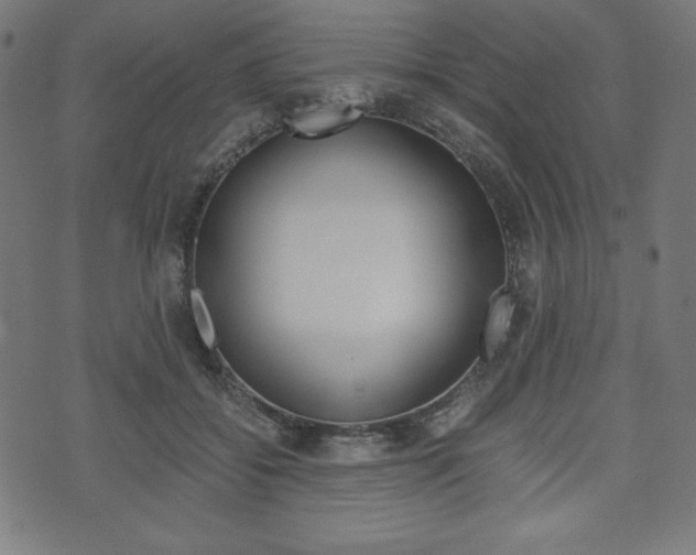 X0000071780556200606300920