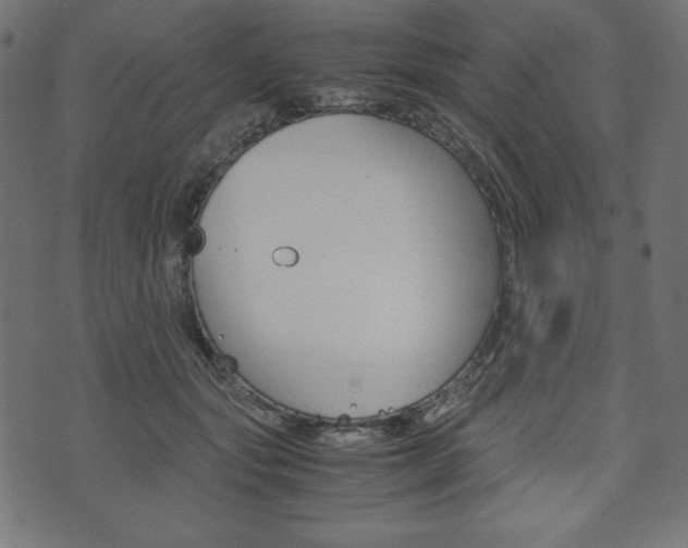 X0000071780557200606300920