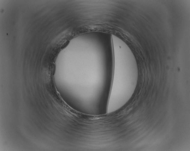 X0000071780558200606300920